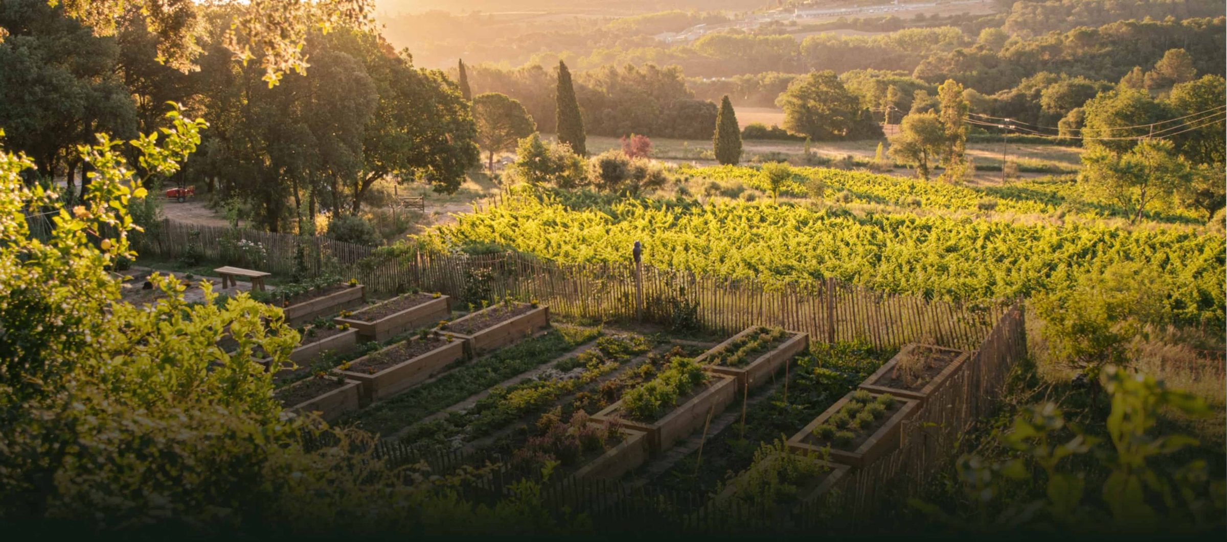La finca de Mas Climent en el macizo de Les Gavarres, Girona